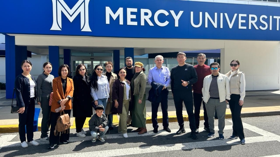 Центр медиации в Университете Mercy (США)