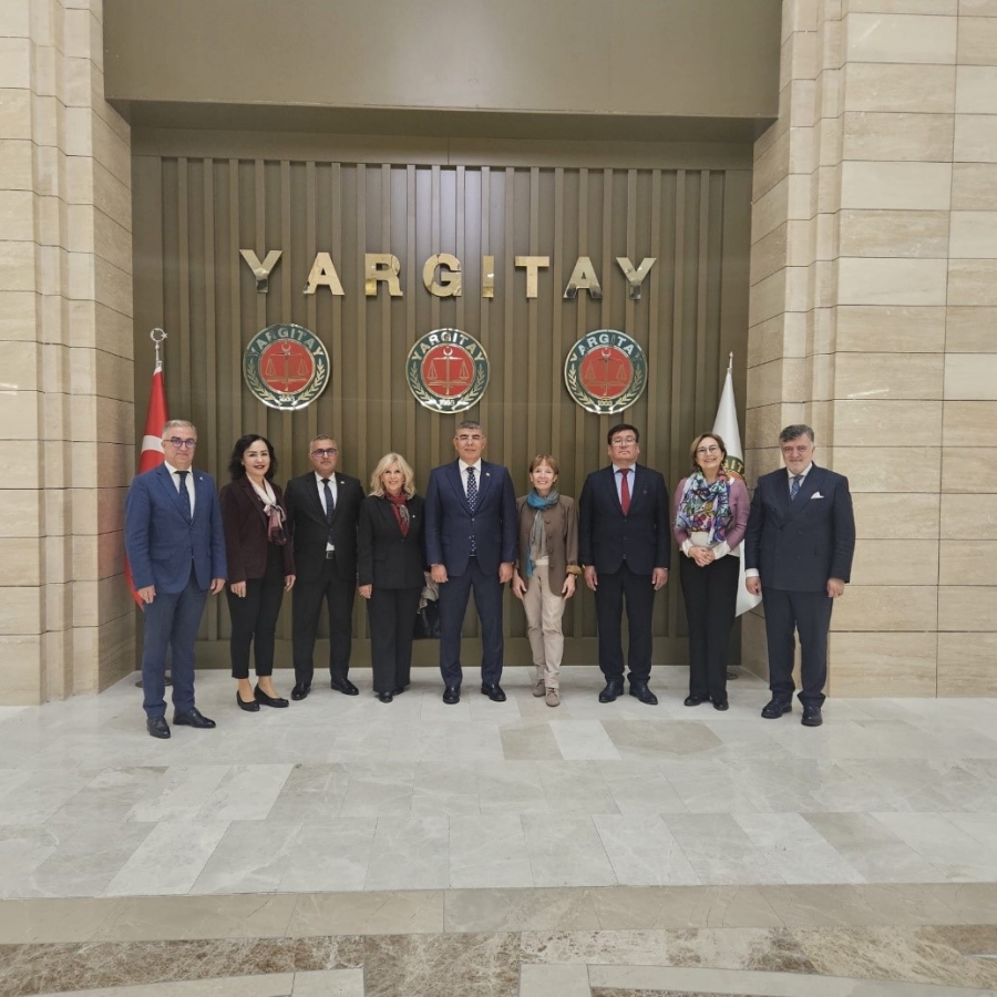Working Visit to the Supreme Court of Türkiye