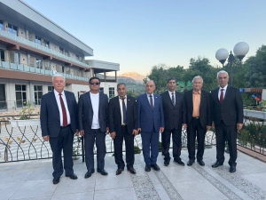 International Summer School of Mediation