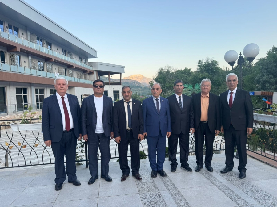 International Summer School of Mediation
